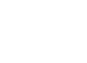 引かれ、惹かれ、光れ！